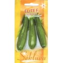 Zucchino 'Elite' H, 6 semi