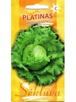 Gartensalat 'Platinas' 20 Samen