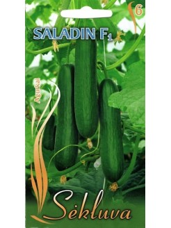 Agurkai paprastieji 'Saladin' H, 8 sėklos