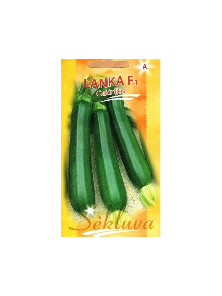 Zucchini 'Lanka' H, 5 Samen