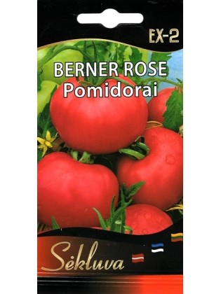Harilik tomat 'Berner Rose' 10 seemned