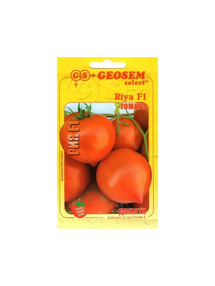 Pomidor zwyczajny 'Riya' F1, 250 nasion