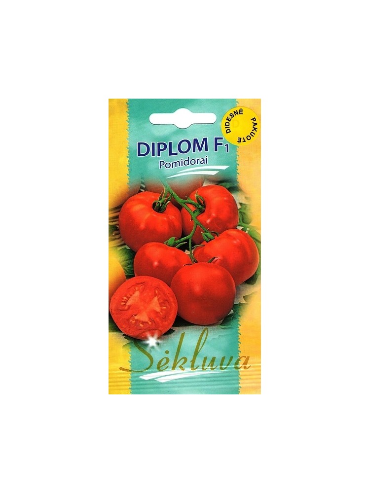 Pomidor zwyczajny 'Diplom' H, 100 nasion
