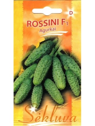 Einlegegurke 'Rossini' H, 20 Samen