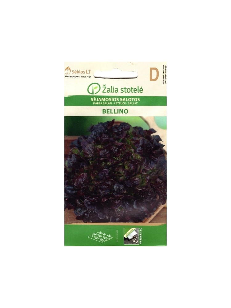 Gartensalat 'Bellino' 0,3 g