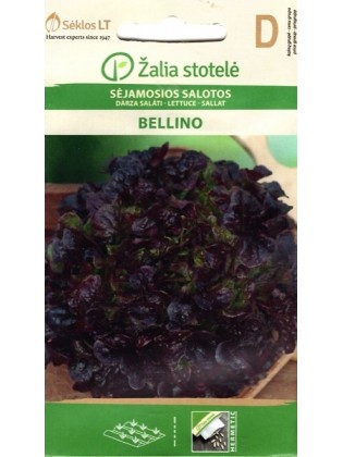 Gartensalat 'Bellino' 0,3 g