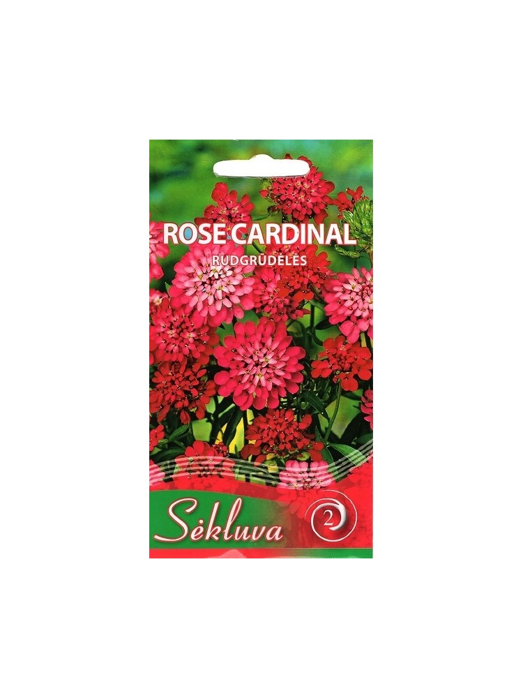 Rudgrūdėlė gibraltarinė 'Rose Cardinal' 0,5 g