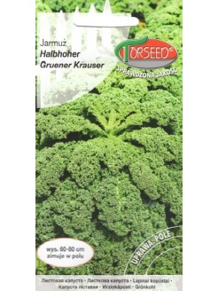 Kale 'Halbhoher Gruner Krauser' 1 g