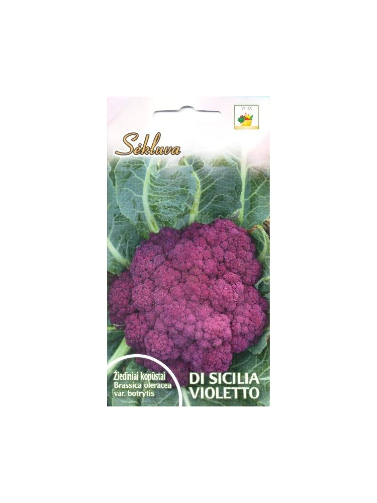 Cavolfiore 'Di Sicilia Violetto' 1 g