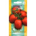 Pomidor 'Pegaso' H, 15 nasion