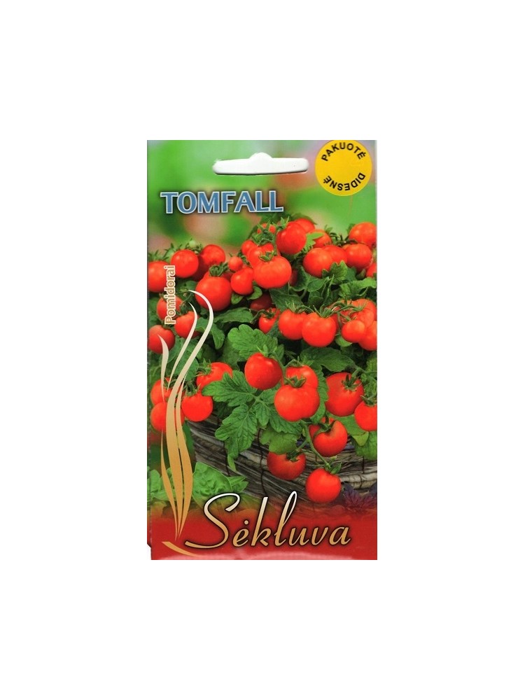 Tomate 'Tomfall' 5 g
