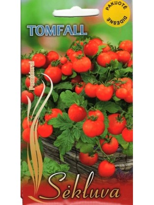 Tomate 'Tomfall' 5 g