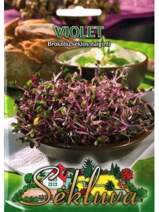 Brokuł 'Violet' 10 g, na kiełki