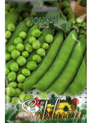 Gartenerbse 'Johan' 50 g