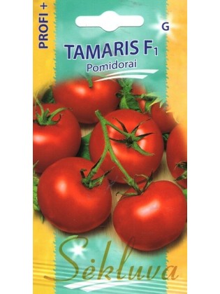 Pomidor zwyczajny 'Tamaris' H, 20 nasion