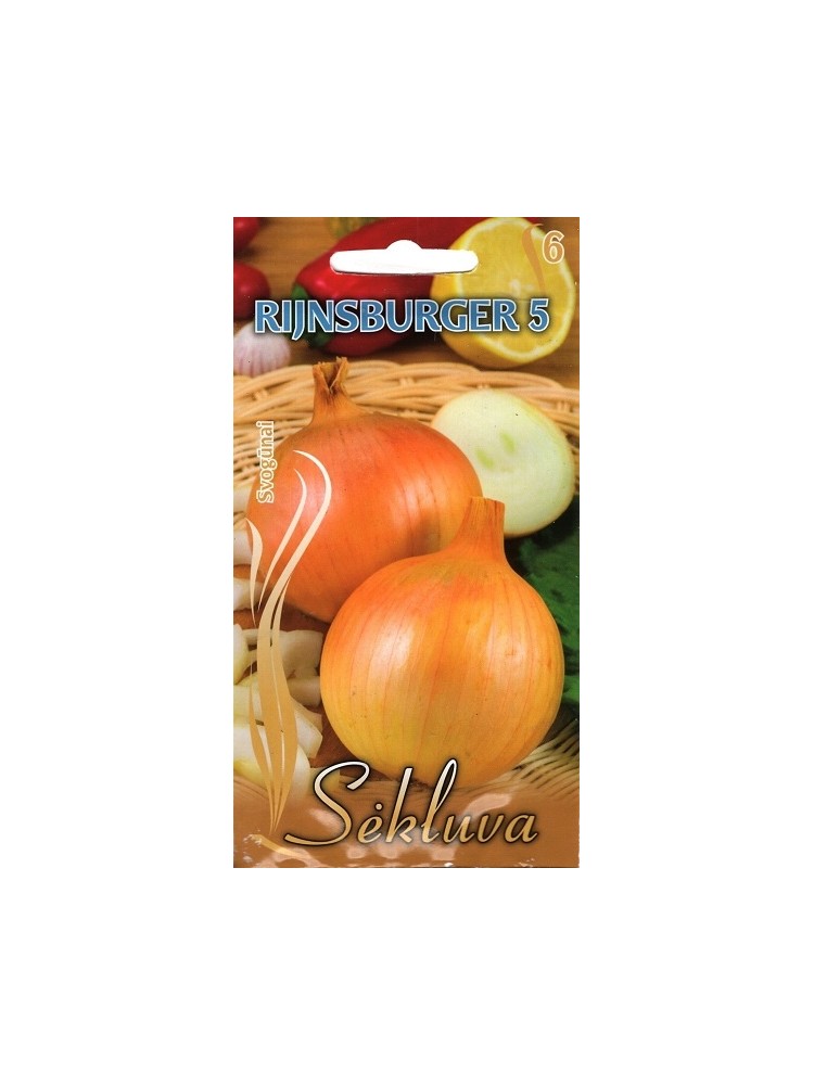 Onion 'Rijnsburger 5' 2 g