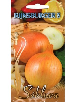 Onion 'Rijnsburger 5' 2 g