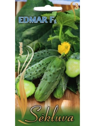 Ogórek siewny 'Edmar' H, 2 g