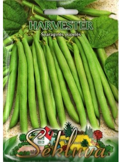 Pupelės daržinės 'Harvester' 50 g