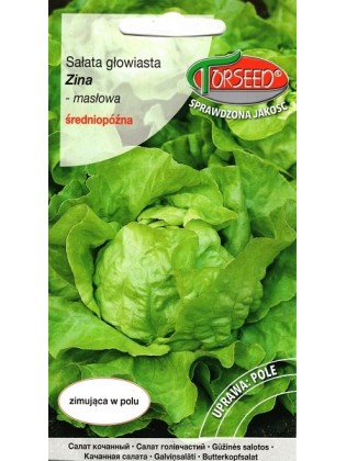 Gartensalat 'Zina' 0,5 g
