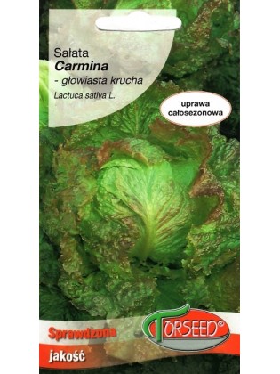 Sałata siewna 'Carmina' 0,2 g