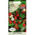 Wald-Erdbeere 'Baron von Solemacher' 0,2 g