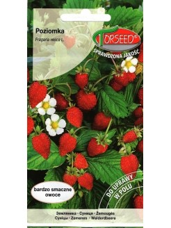Wald-Erdbeere 'Baron von Solemacher' 0,2 g