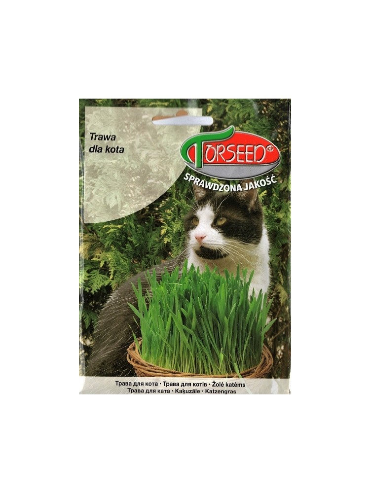Gras für Katzen 30 g