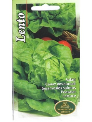 Gartensalat 'Lento' 1 g