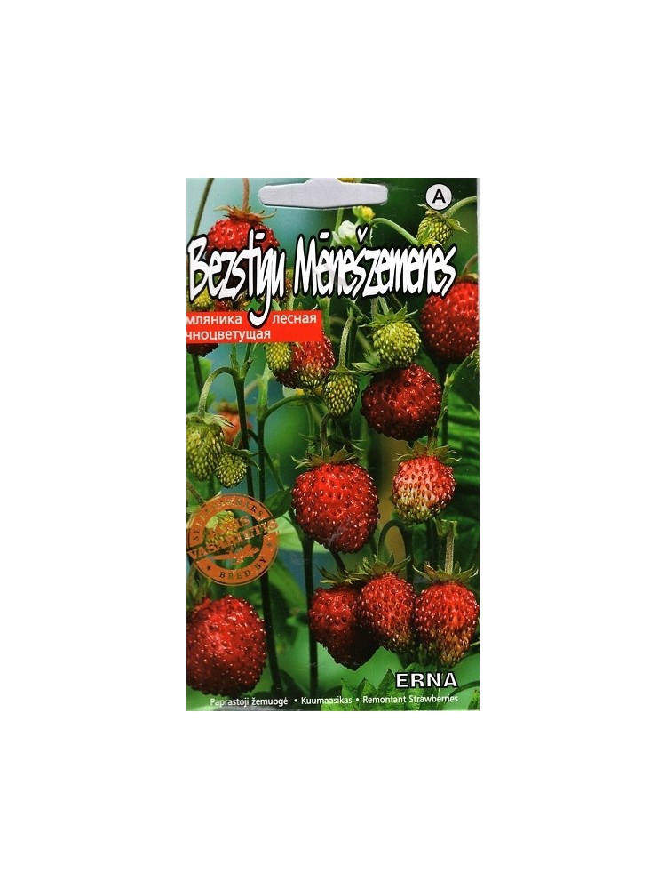 Wald-Erdbeere 'Erna' 0,05 g