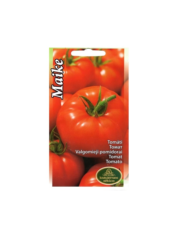 Pomidor 'Maike' 20 nasion