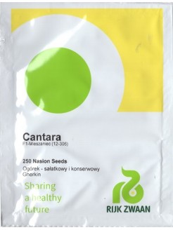 Огурец посевной 'Cantara' H, 250 семян