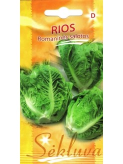 Salotos romaninės 'Rios' 20 sėklų