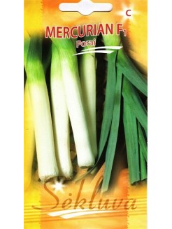 Leek 'Mercurian' H, 40 seeds
