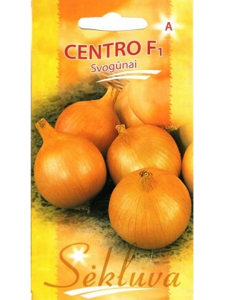 Onion 'Centro' F1, 200 seeds