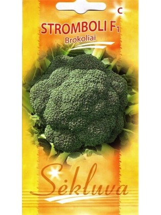 Brokkoli 'Stromboli' F1, 30 Samen