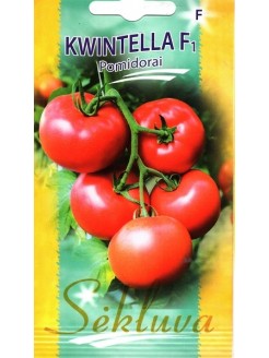 Pomidorai valgomieji 'Kwintella' H,  10 sėklų