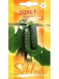 Agurkai paprastieji 'Zizel' H, 20 sėklaų