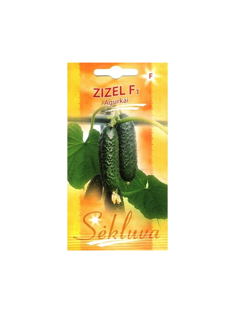 Einlegegurke 'Zizel' H, 20 Samen