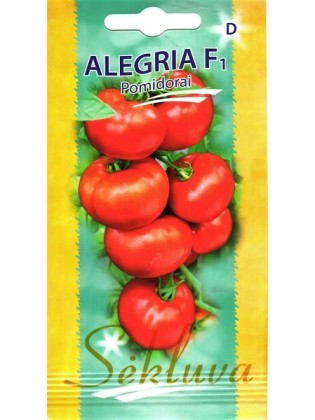 Pomidor 'Alegria' H, 10 nasion