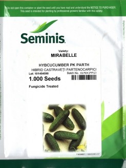 Concombre 'Mirabelle' H, 1000 graines