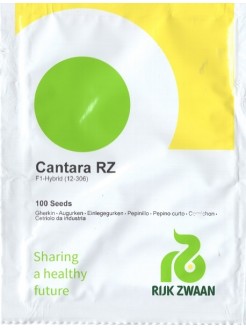 Ogórek siewny 'Cantara' H, 100 nasion