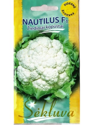 Blumenkohl 'Nautilus' H, 500 Samen