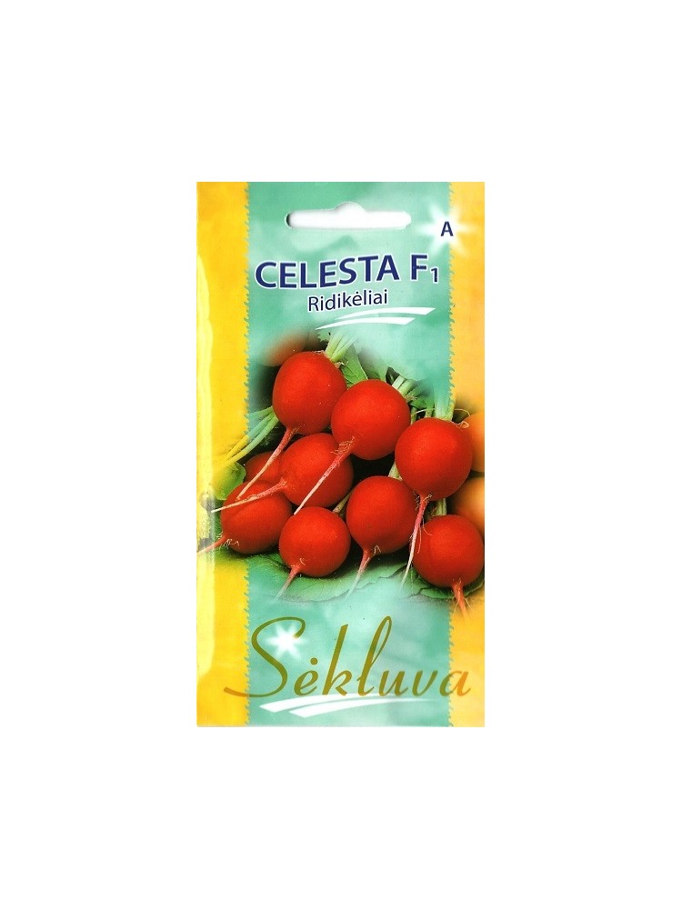Rzodkiewka 'Celesta' H, 2 g