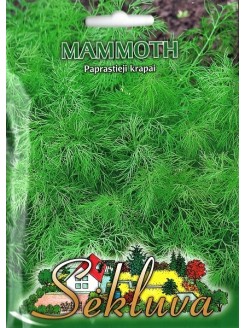 Dill 'Mammoth' 5 g