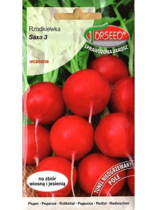 Rzodkiewka 'Saxa 3' 10 g