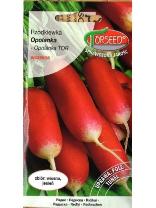 Rzodkiewka 'Opolanka' 10 g