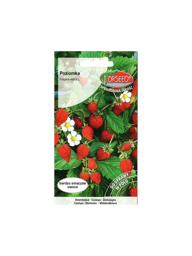 Wald-Erdbeere 'Rujana' 0,2 g