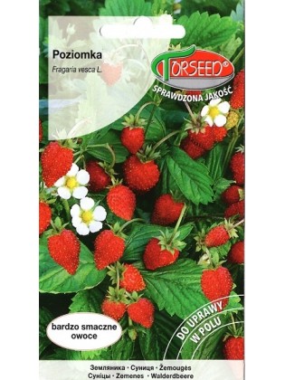 Wald-Erdbeere 'Rujana' 0,2 g