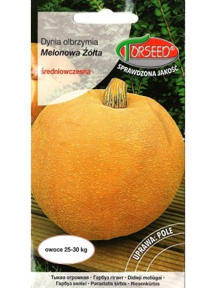 Riesen-Kürbis 'Melonowa Żółta' 5 g
